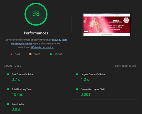 Rapport Google Lighthouse de la page d'accueil d'Adopt : score de performance de 98/100, First Contentful Paint de 0,7 s et Largest Contentful Paint de 1,0 s