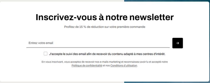 Bloc d'inscription à la newsletter sur la page d'accueil de Palladium Boots, avec offre de 15 % de réduction